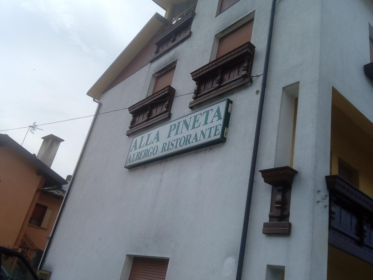 Albergo Alla Pineta Villa Santina Bagian luar foto