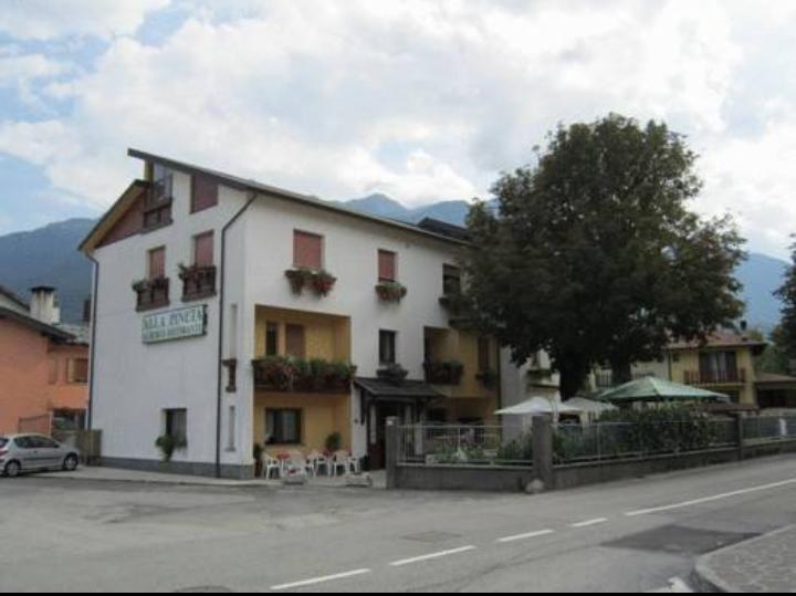 Albergo Alla Pineta Villa Santina Bagian luar foto