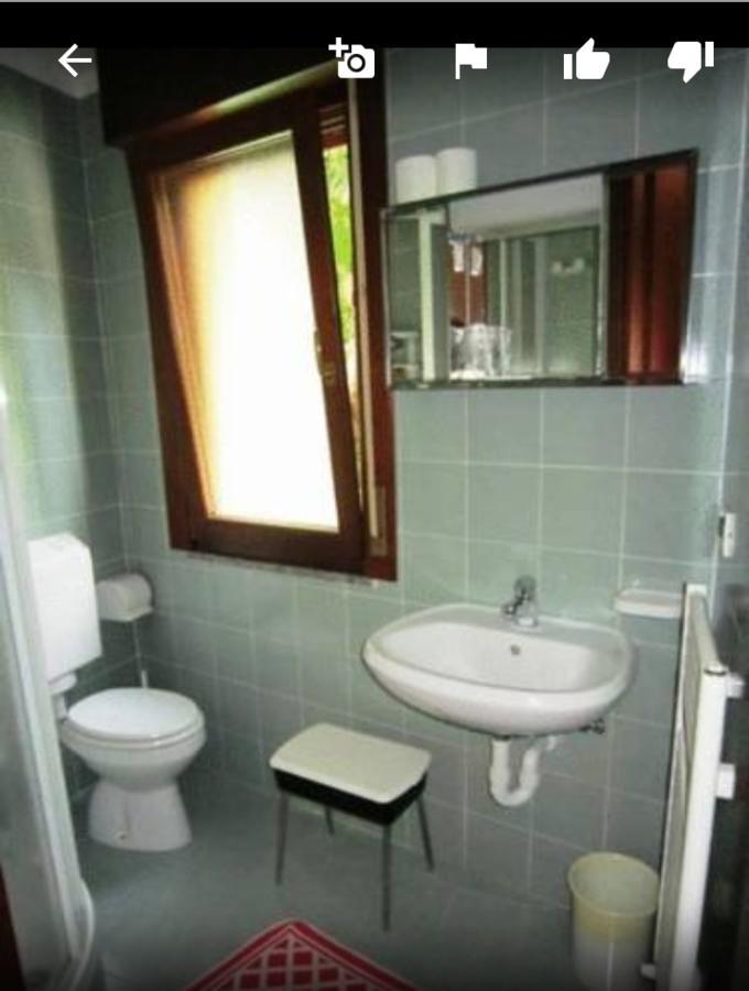 Albergo Alla Pineta Villa Santina Bagian luar foto