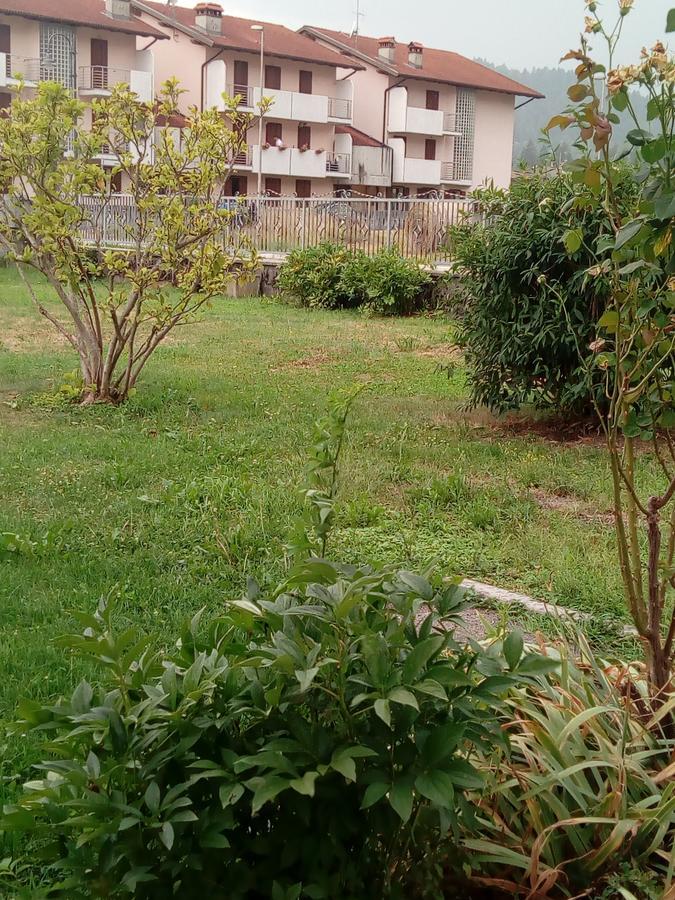 Albergo Alla Pineta Villa Santina Bagian luar foto